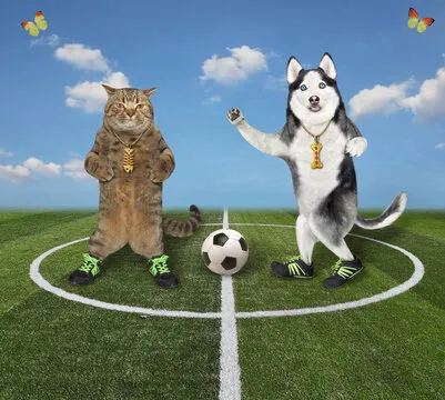 费城76人